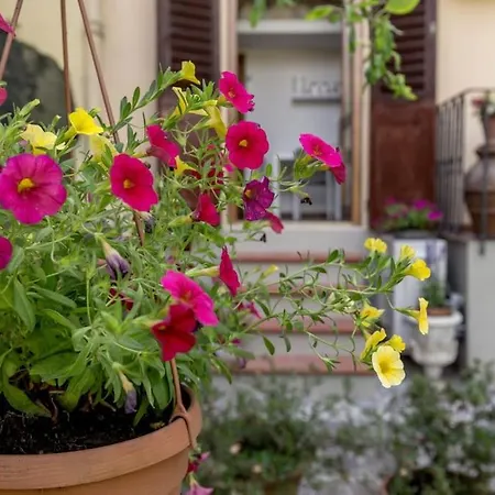 Loft Ortensia Garden Wifi Air Conditioning